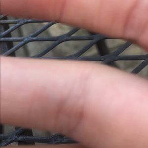 Meet your Posher, Lacey